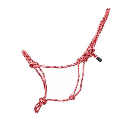 TEX4516 RDWH-01